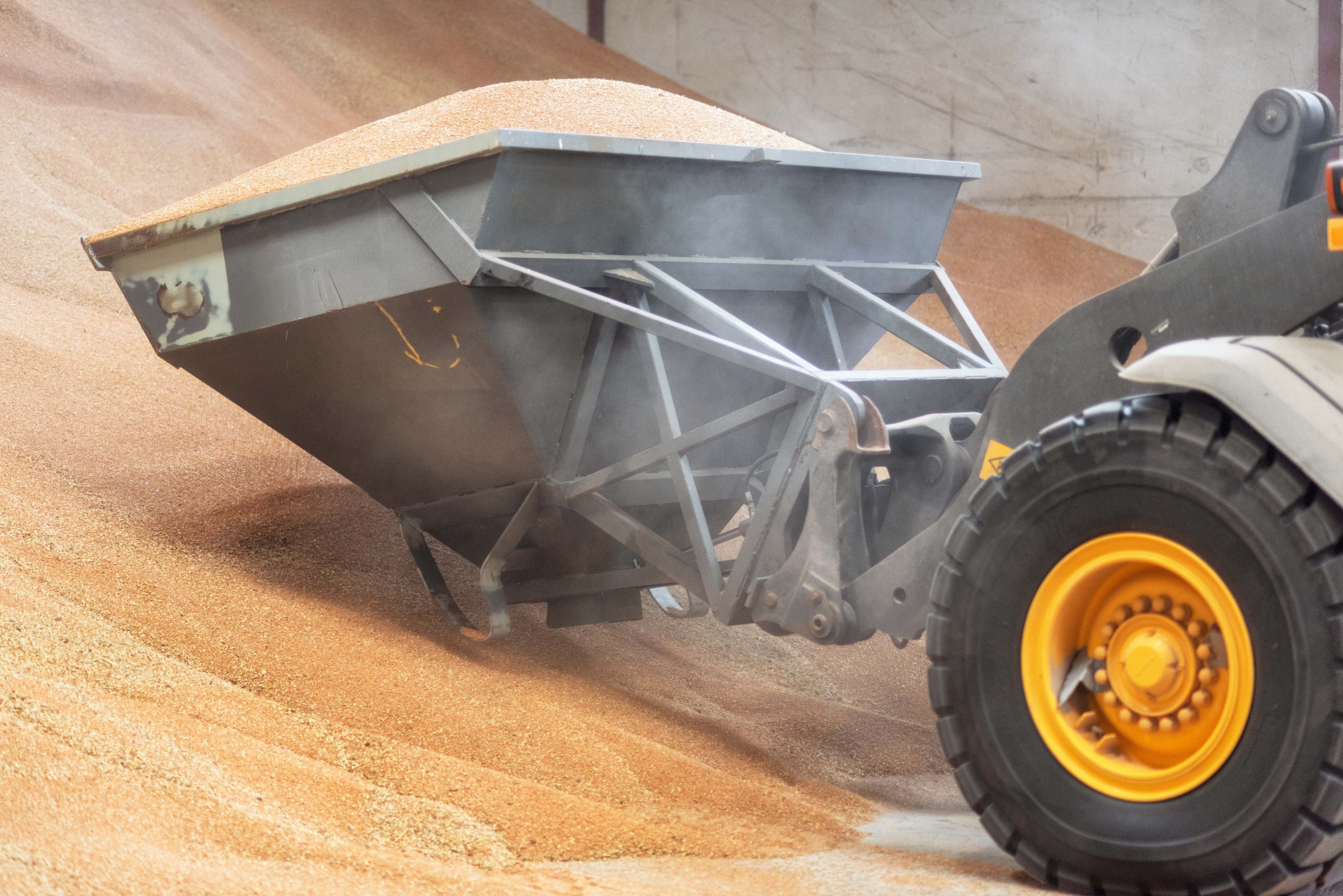 Loader bucket with grain