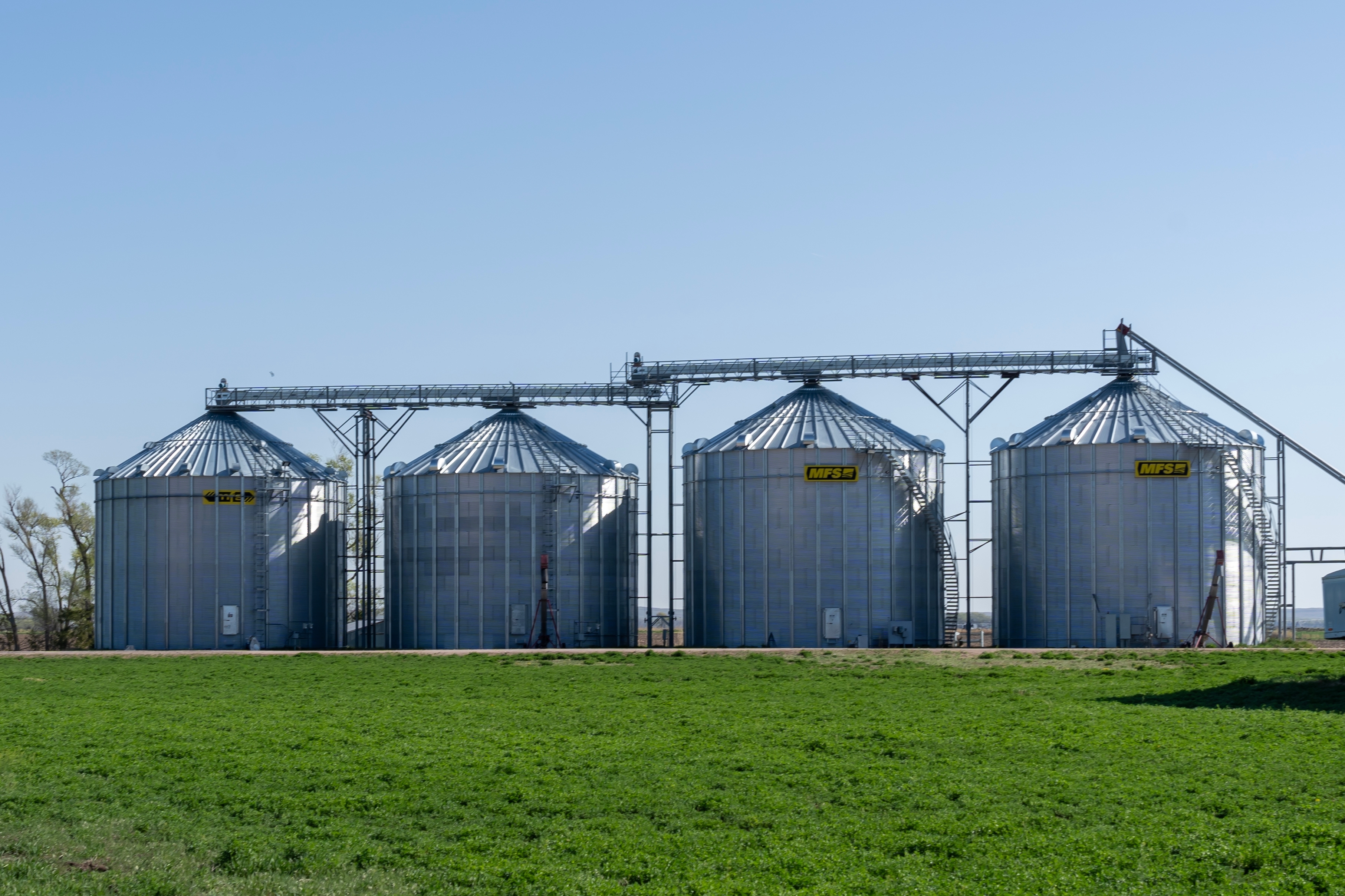 Grain storage silos